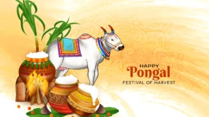 Read more about the article Pongal Festival